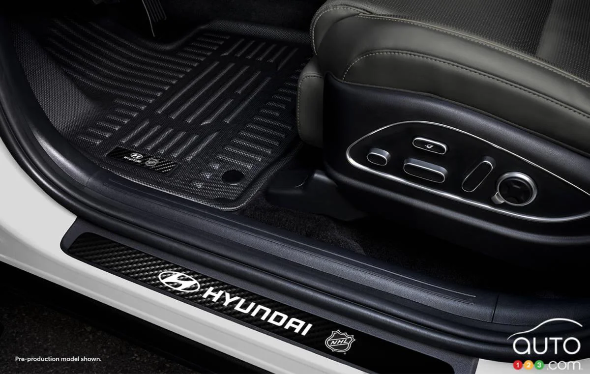 Logo Hyundai NHL